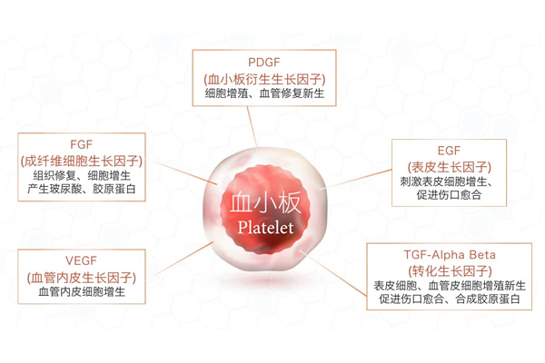 血小板成分和作用